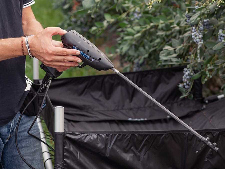 Campagnola Starberry MD2 é o vibrador de  bateria colheita de mirtilo