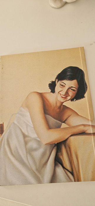 vários livros tema PINTURA