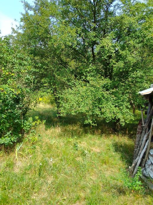 Ділянка 15 сот. біля озера в заповідної зоні 500000гр