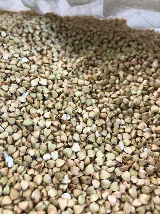 KASZA Gryczana WYBORNA Niepalona BIO od Boryny 5 KG