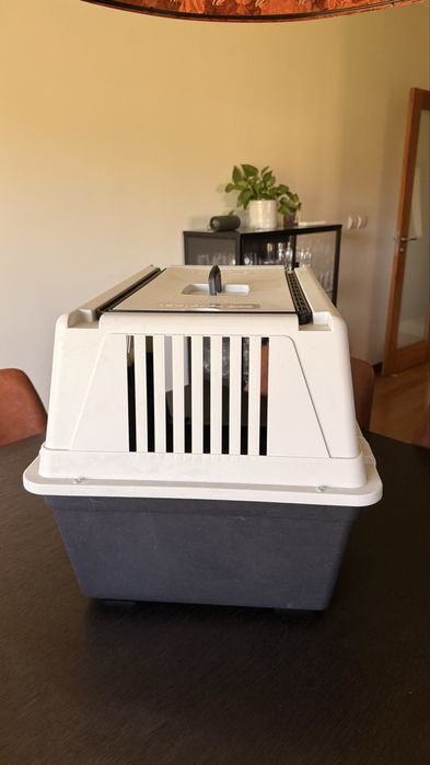 Caixa para transporte de pet