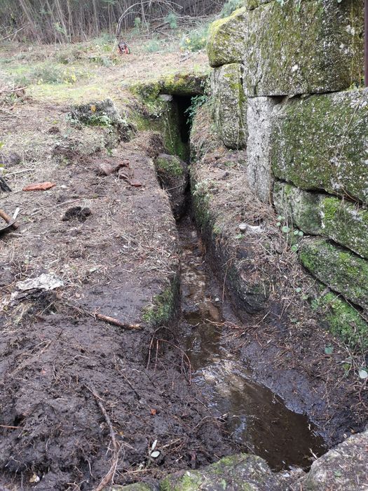 Quinta para turismo ,refúgio / oportunidade única! Esta semana