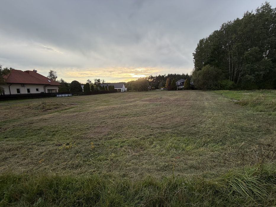Zdjęcie 3