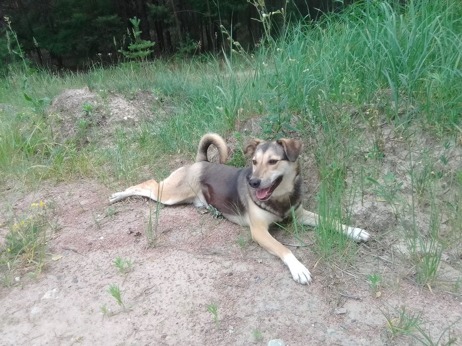 Дуже хочу мати сім'ю
