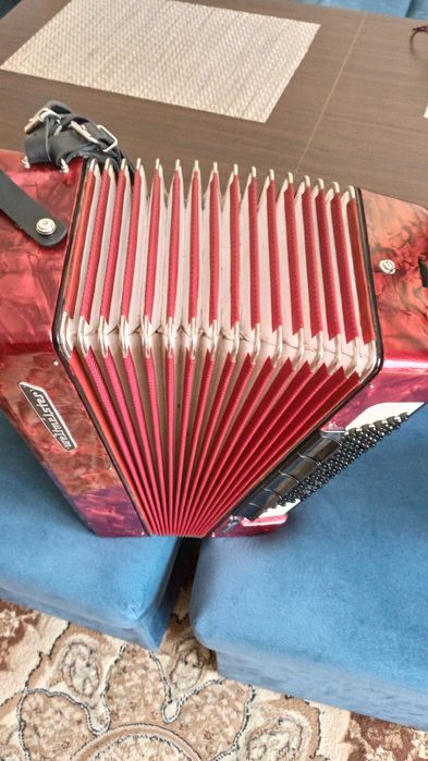 Akordeon Weltmeister