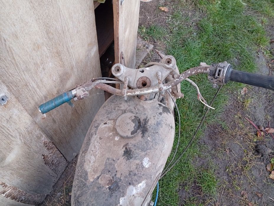 Панонія pannonia