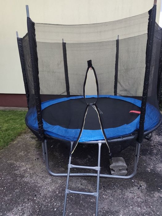 Trampolina 250cm