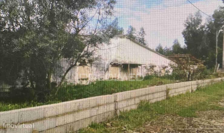 Terreno para construção — Macinhata do Vouga, Aveiro
