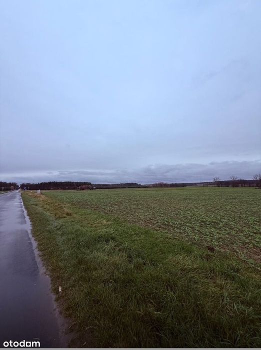 Działka komercyjna | 5272 mkw | przy obwodnicy - Widok 2