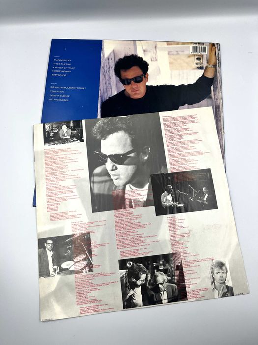 Billy Joel - the Bridge (winyl)