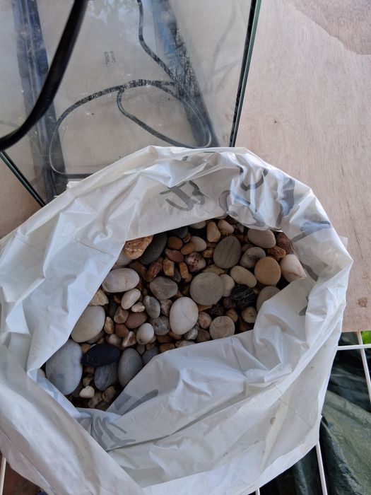 Aquário para peixes completo