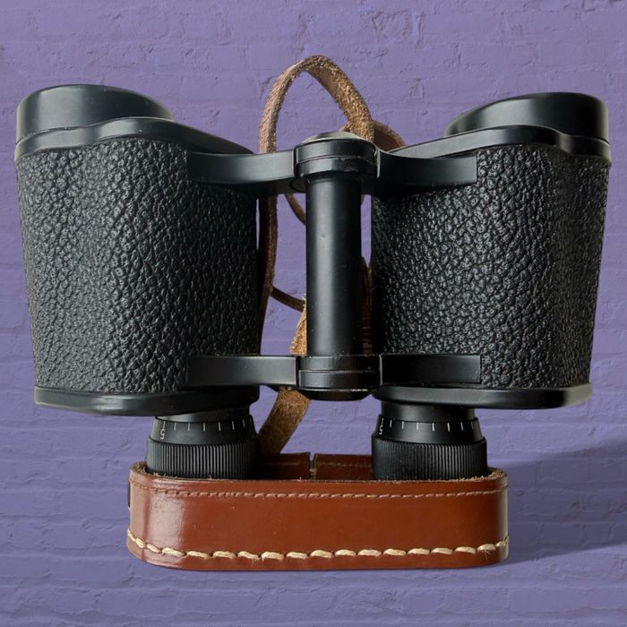 Рідкісний військовий бінокль Jastreb 6x30 (Югославія), 1/6400