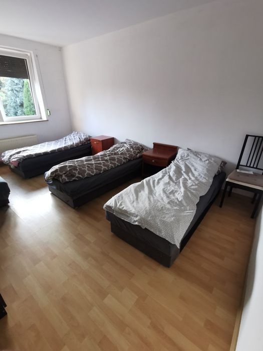 Wynajem pokoi/noclegów