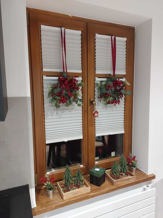 Willa KAMELIA - apartamenty