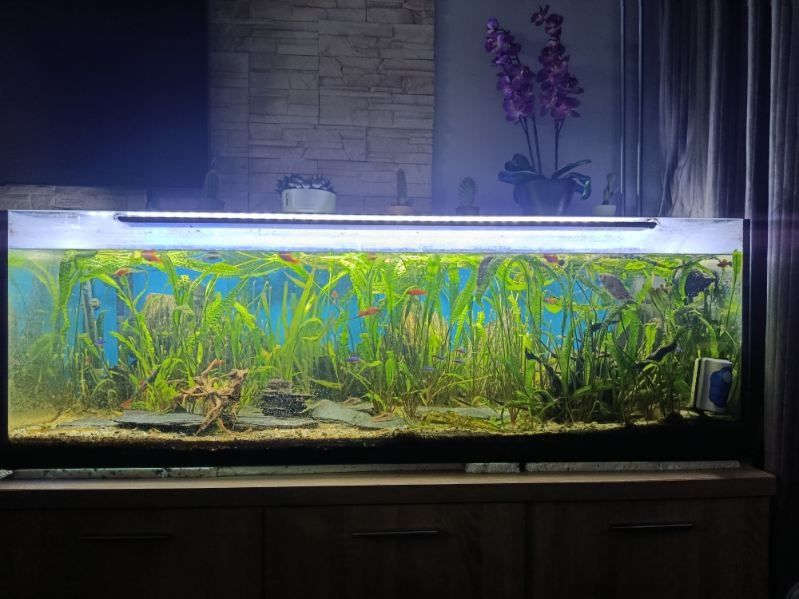 Akwarium 375l zestaw