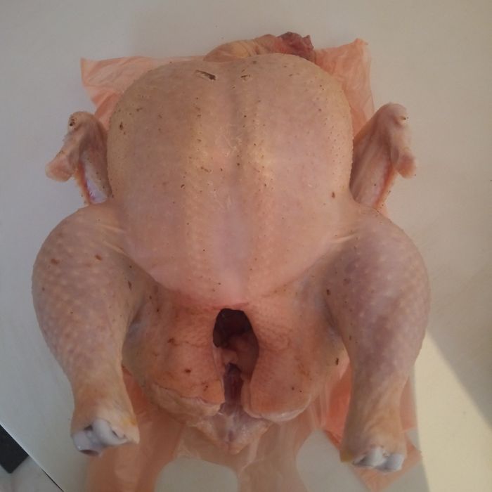 Домашний бройлер