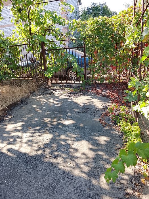 Продам дачу в садовому товаристві Зелений Яр з двоповерховим будинком