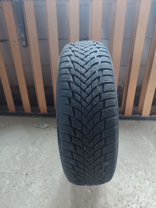 Шини Petlas snow master2