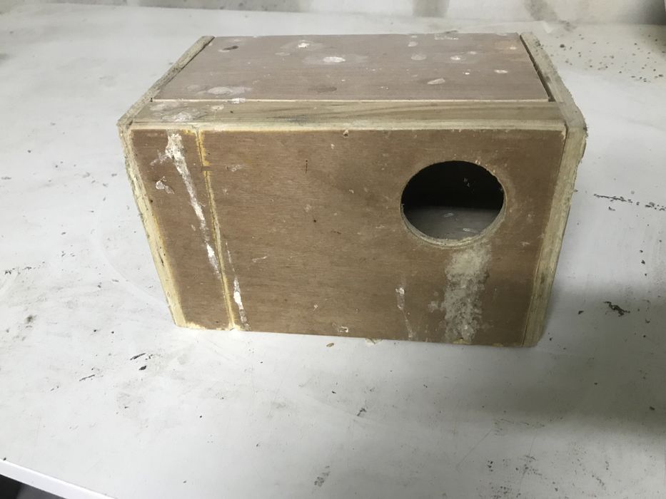 Ninhos para ceder em bom estado