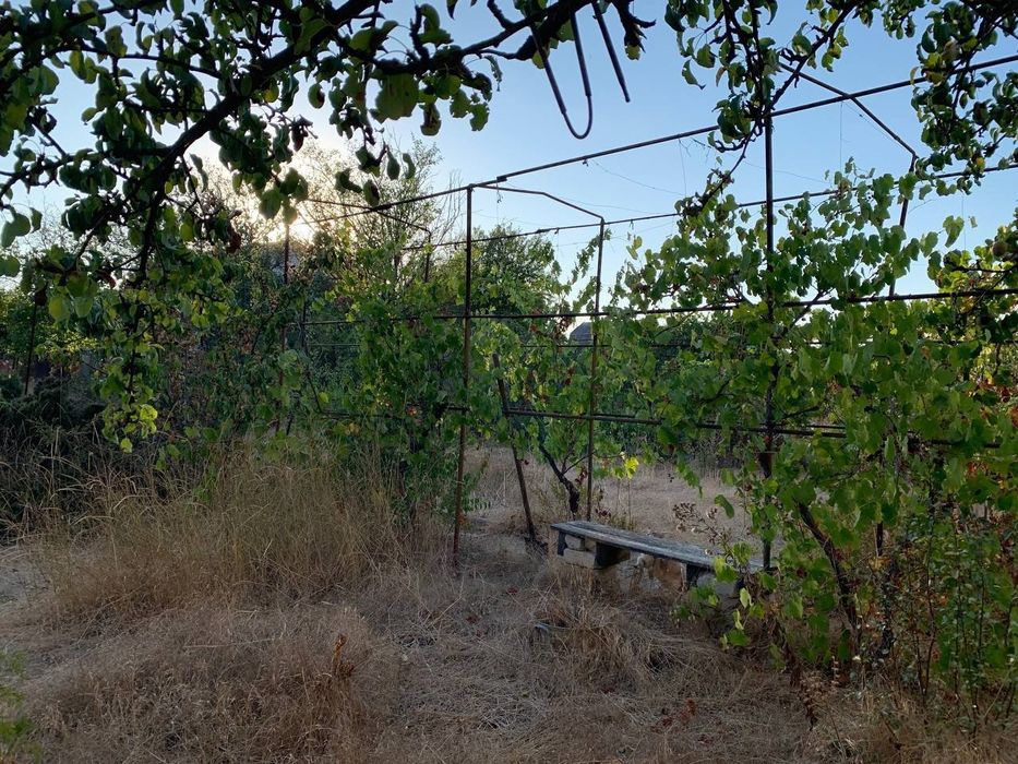 Продажа дачи в Алтестово