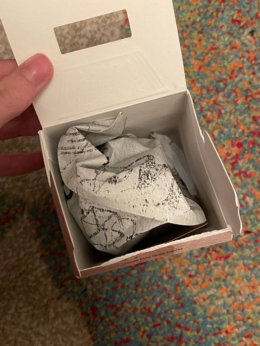 Hirono Daydreaming Echo (один з упаковкою, інший ні)