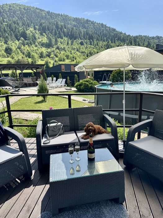 Котедж з окремою територією Будинок Карпати гори басейн річка