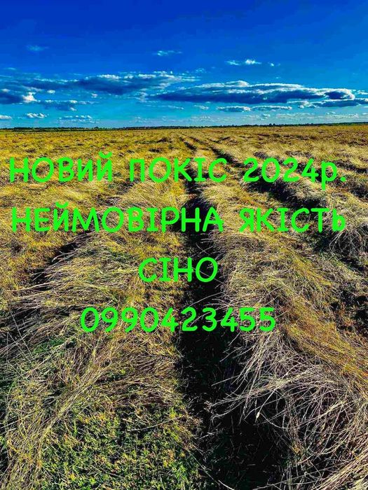 Сено (Сіно) в тюках від ВИРОБНИКА! Київ та Київська обл