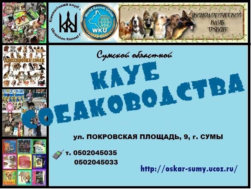 Пропонуємо для в'язки