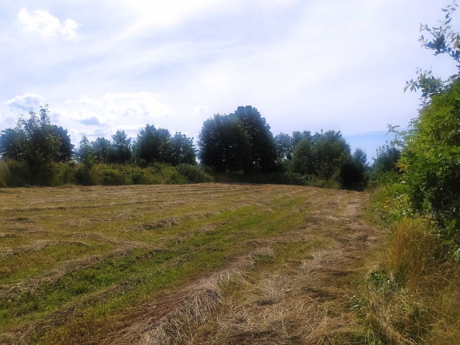 działka z bezterminowymi Warunkami Zabudowy w Zwartówku