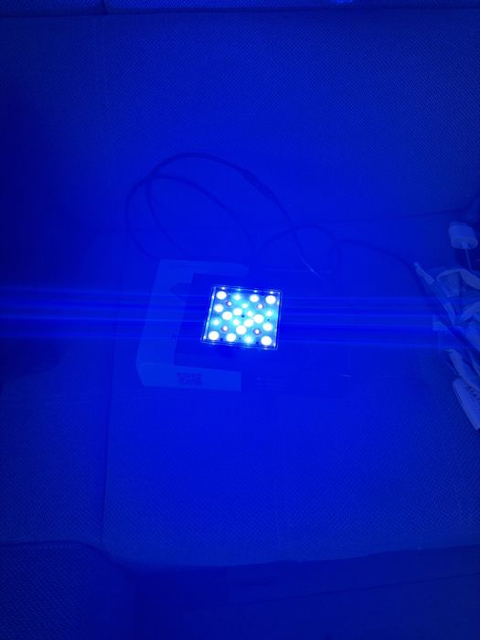 Lampa reef flare pro s