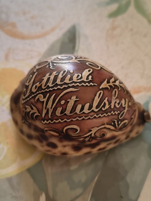 Gottlieb Witulsky Muszla porcelanka