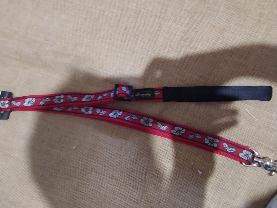 Trelas RedDingo.64585347277826124