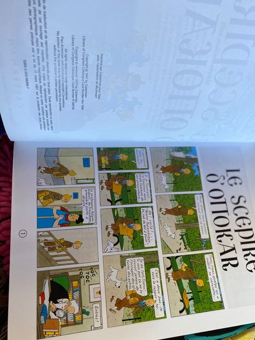 Banda desenhada Tintim 2000