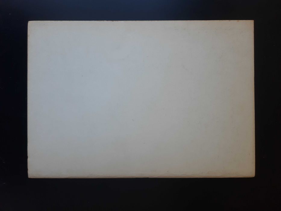 Princípios da reforma agrária na Constituição de 1976 - J. Silva Lourenço