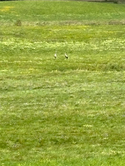 Działka rekreacyjna