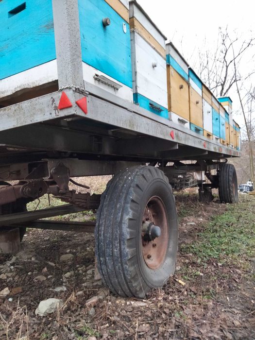 Мобільна пасіка для продуктивного бджільництва