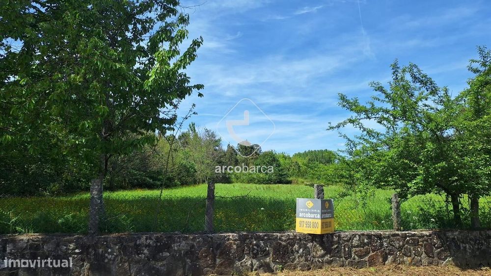 Terreno Florestal com 26.000m2  - S. Pedro d´Arcos.