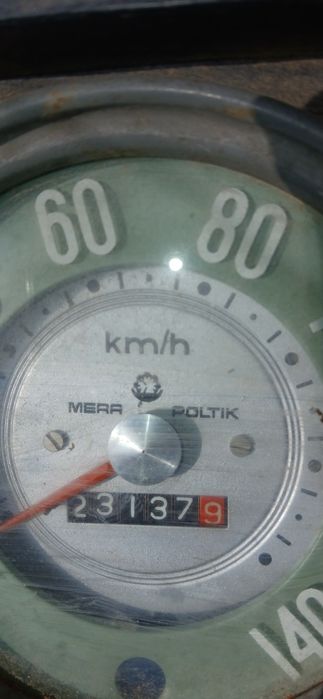 Sprzedam ładnego żuka