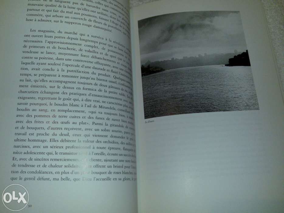 saveurs de porto (vagabondages dans une ville de culture) turismo