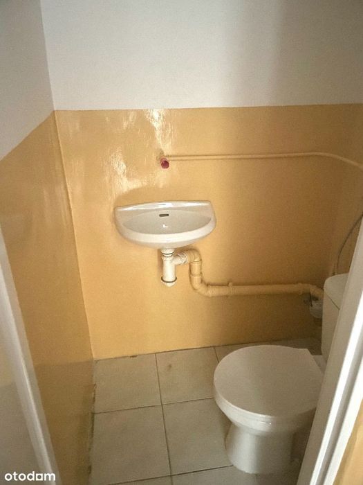 Lokal użytkowy w centrum miasta