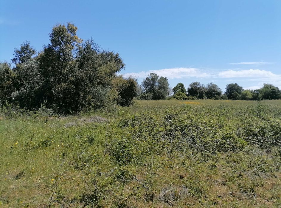 Terreno Rústico 2440m2 com água e luz
