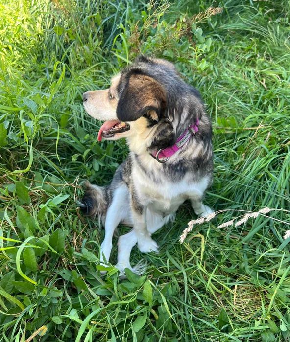 2,5 roczna malutka Leja do adopcji