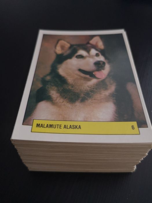 Calendários de música, raças de cães, ditados populares e bandeiras