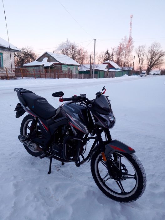 Мустанг фортуна 200