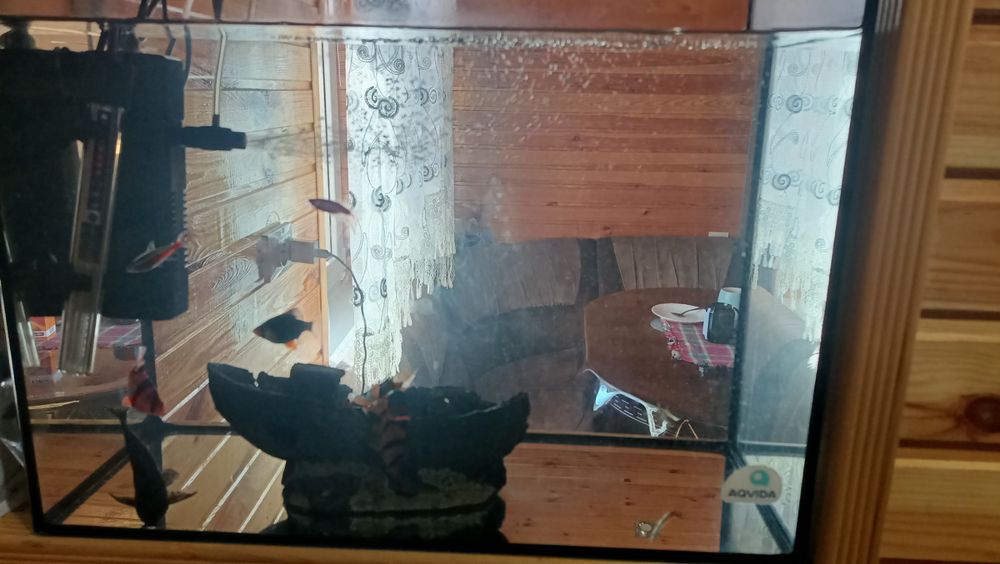 Акваріум продам на