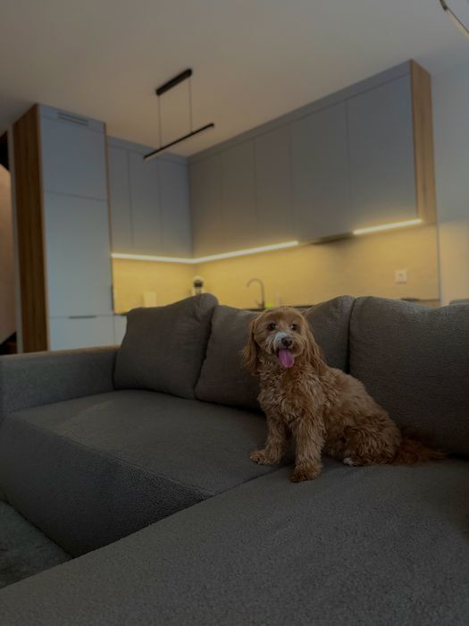 Sky Jagodno- apartament z jacuzzi na doby.