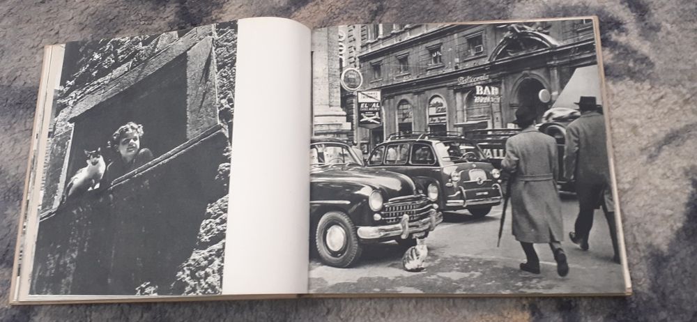 Jan Styczynski zwierzęta i my stare fotografie  prl zdjecia