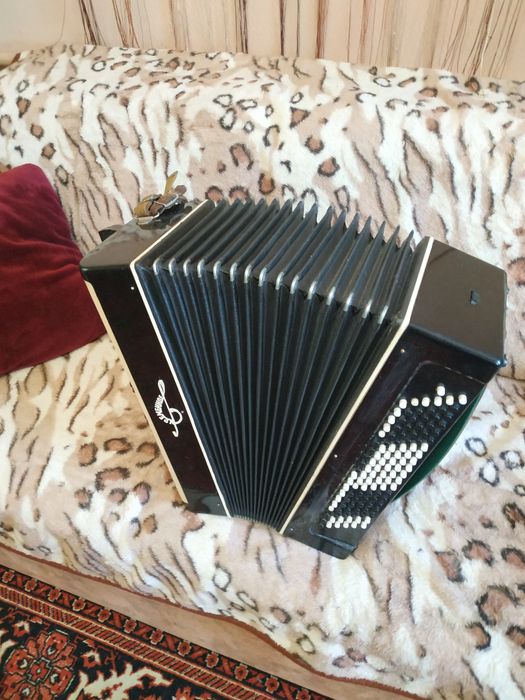 Баян Кримінне чорного кольору