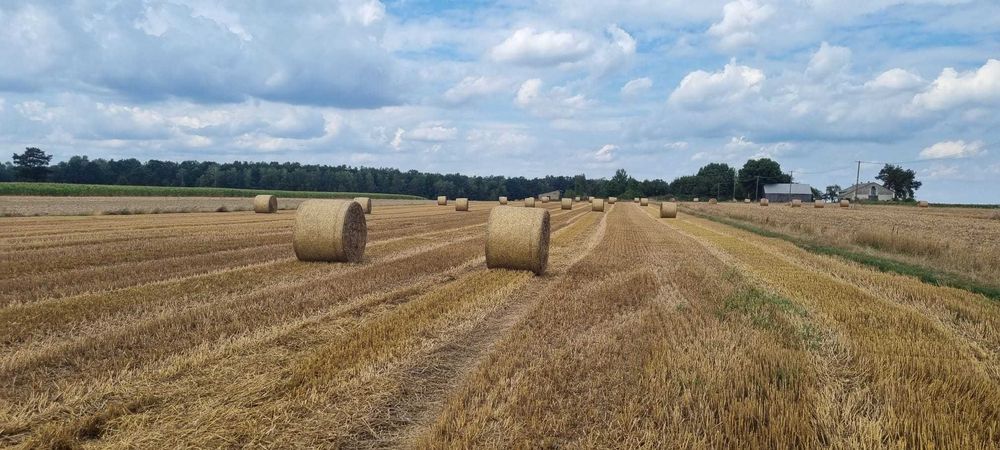 Siatka prasy, bel, balotów, słomy 125x3000 RAPID