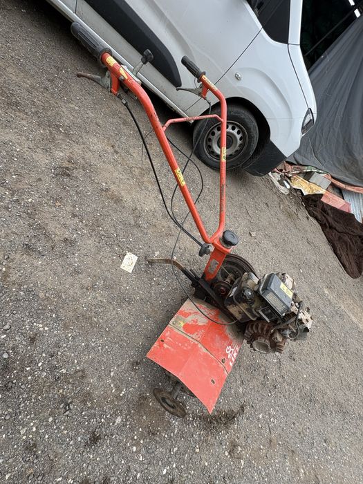 Frese como nova barata